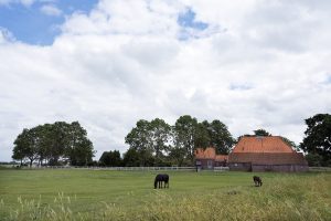 Woonboerderij met schuur, paardenbak en weiland 10,4% of 2% overdrachtsbelasting